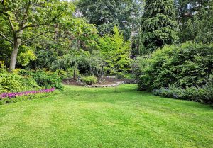 Optimiser l'expérience du jardin à Blussans